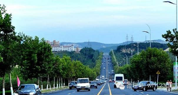 威海最美的道路！来威海这些地方一定要去转转