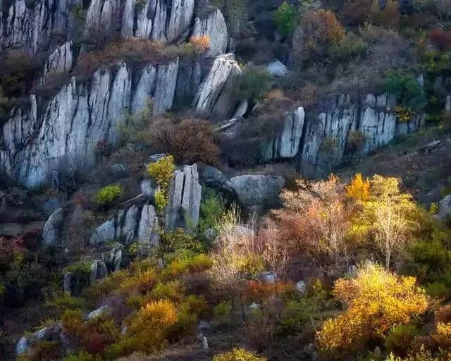 凝香集萃，四季皆美！莱芜区香山，鲁中山区的璀璨明珠