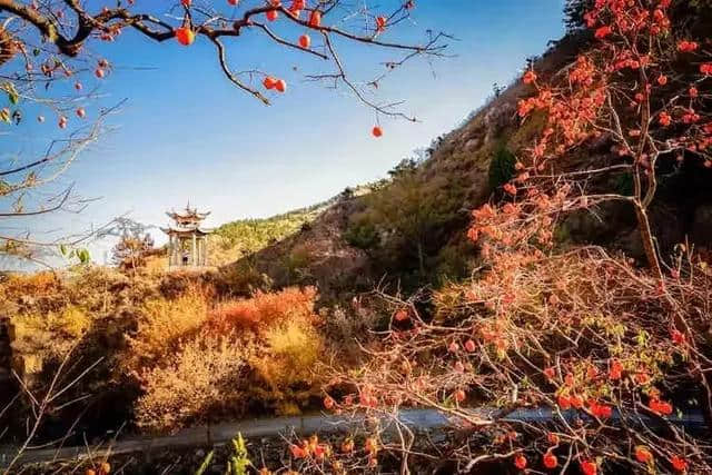 凝香集萃，四季皆美！莱芜区香山，鲁中山区的璀璨明珠