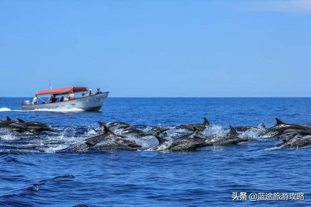 普吉岛亲子游怎么玩，不可错过的带娃攻略！