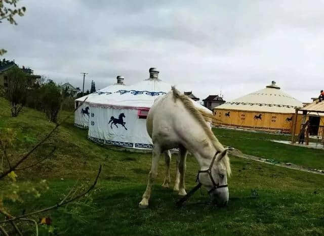 霸气！南通旅游在同一天迎来这么多好消息！