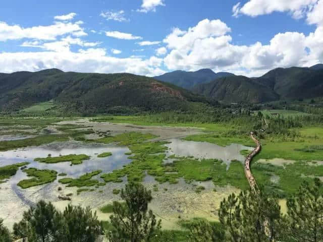 厌倦了昆大丽，此生一定要去一趟这里，鲜花遍地...