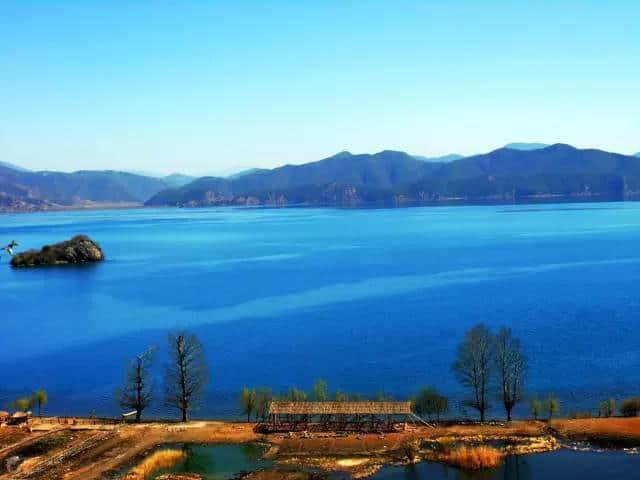 厌倦了昆大丽，此生一定要去一趟这里，鲜花遍地...