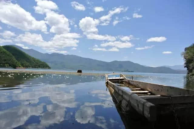 厌倦了昆大丽，此生一定要去一趟这里，鲜花遍地...