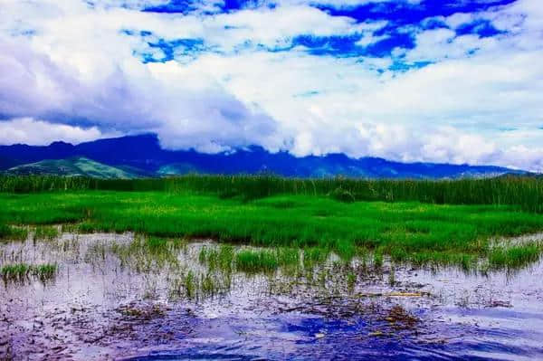 厌倦了昆大丽，此生一定要去一趟这里，鲜花遍地...