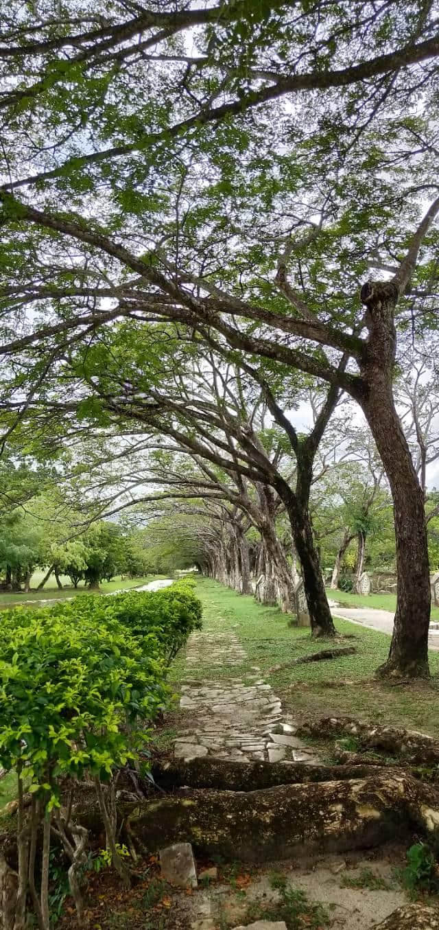 不能错过的海边旅行圣地——兰卡威(喜欢安静的你，一定喜欢它)