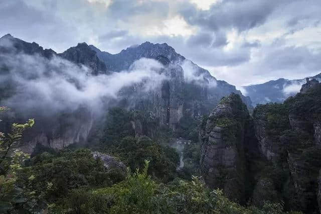 免费！半价！5月19日，温州各景区集体“大放价”