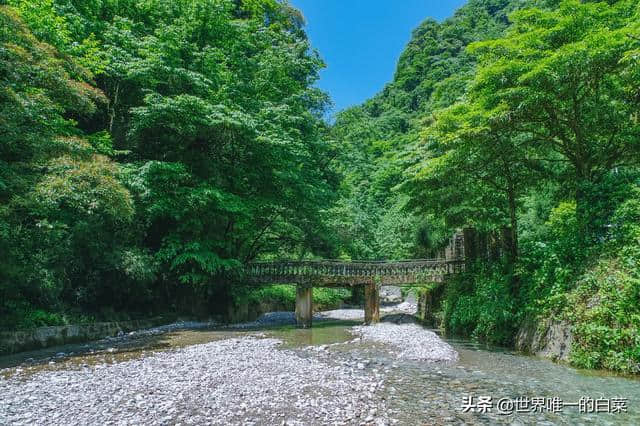 青城山下泰安镇，坐忘红尘隐林泉