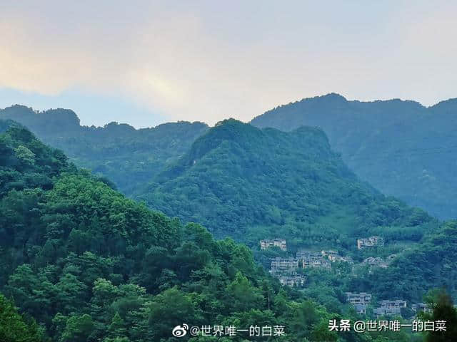 青城山下泰安镇，坐忘红尘隐林泉