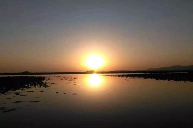 滕州微山湖湿地｜夕阳无限好，最美在微湖