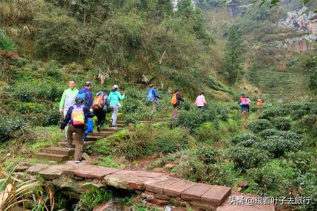 徒步楼上楼景区领略齐云山鲜有人知的神秘古道