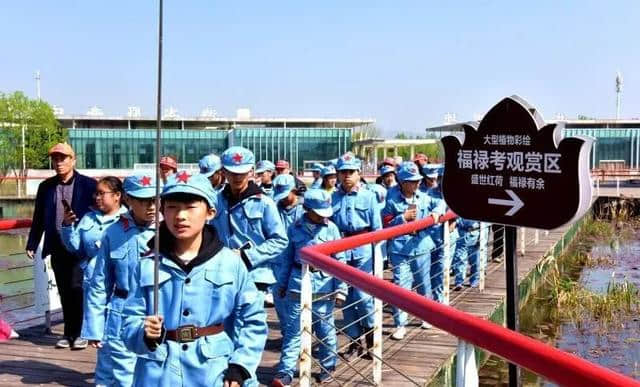 滕州微山湖红荷湿地 | 春游湿地持续升温