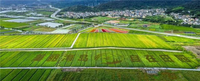 路线推荐 | “田园乡间，魅力渔村”别样普陀1日游