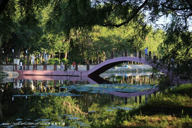 齐齐哈尔龙沙公园的清晨，那是鹤城给我的美丽记忆