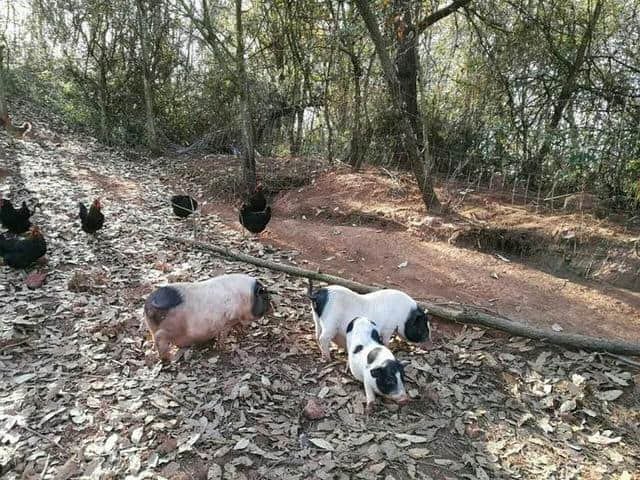 来昆明旅游你不得不去的地方！