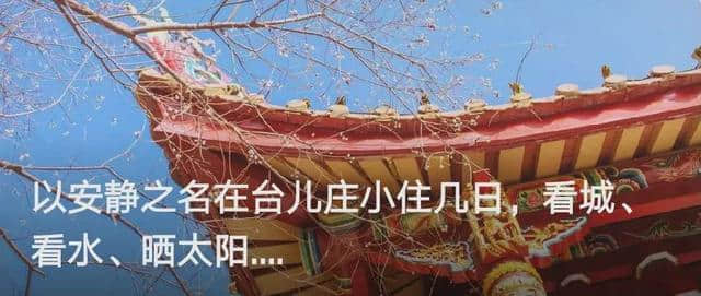 五一去哪儿？游滕州微山湖湿地，多彩活动，优惠门票！