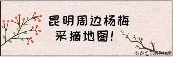 杨梅熟了！2019昆明周边最全杨梅园地图！周末走起