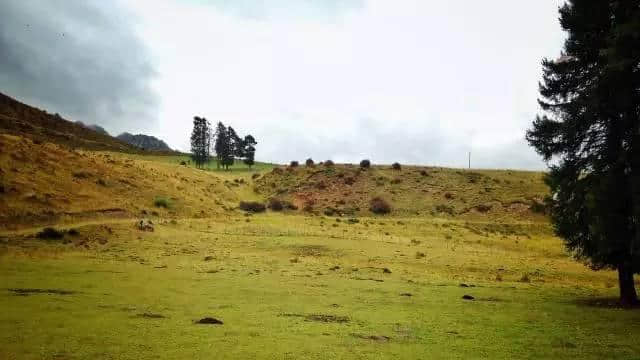 西北向南——甘南最全旅行攻略 &lt;5&gt;（郎木寺）