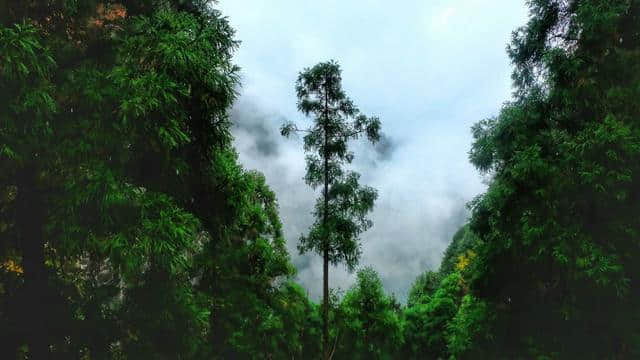 温州有一个四季适合旅游的地方 随手一拍就是一幅水墨画 瀑布更是一绝