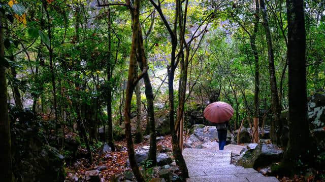 温州有一个四季适合旅游的地方 随手一拍就是一幅水墨画 瀑布更是一绝