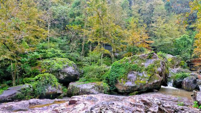 温州有一个四季适合旅游的地方 随手一拍就是一幅水墨画 瀑布更是一绝