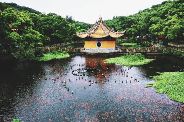 普陀山旅游攻略：如何像个当地人一样游历观影菩萨道场