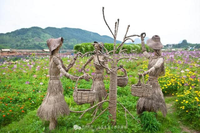 把花海搬到枕边，住进梦境中的普罗旺斯