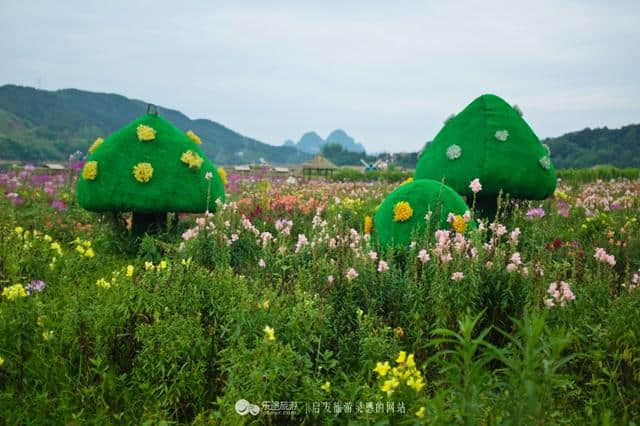 把花海搬到枕边，住进梦境中的普罗旺斯