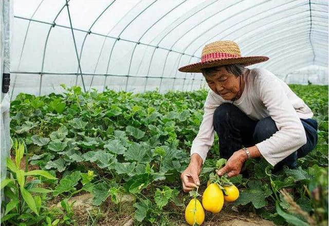 路线推荐 | 去这座红黄蓝的登步小岛,做一天快乐的海岛小民