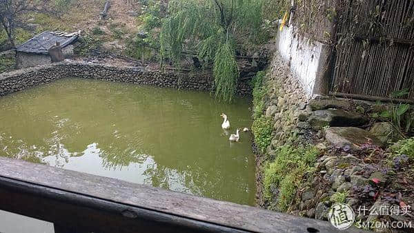 自驾千岛湖两日游