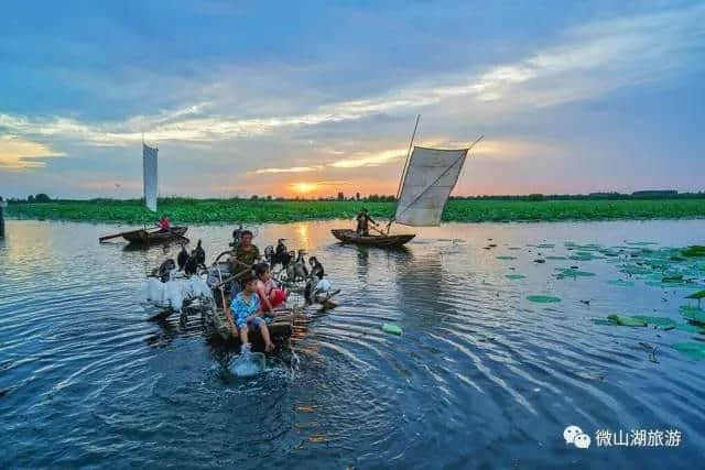 微山湖与大运河的不解之缘