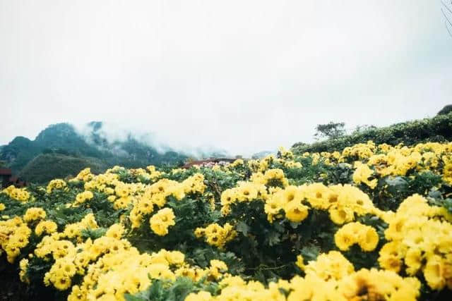 碧江·昆山旅游年卡之景点介绍——碧江篇