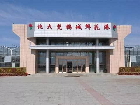 黑龙江省齐齐哈尔10个景区景点你去过几个还有哪些？排名不分先后