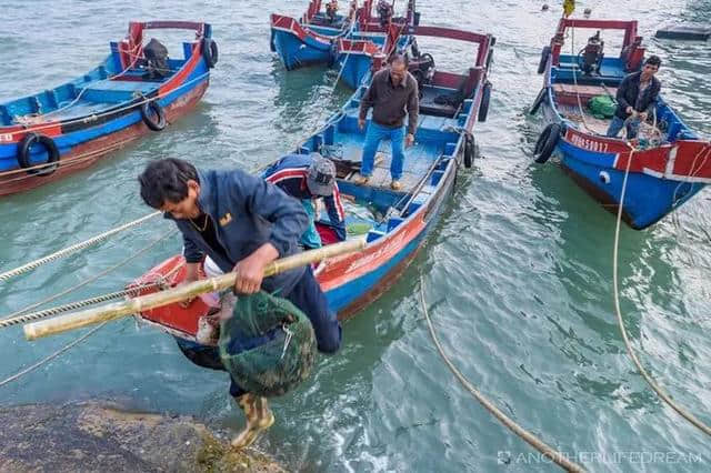 欢呼！来普陀这7个渔村预约你的海鲜之旅~