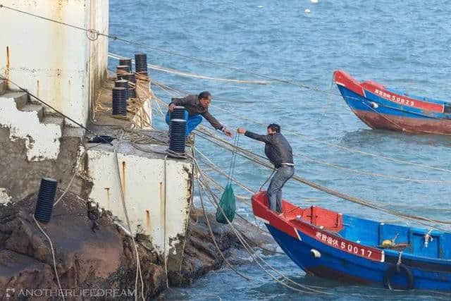 欢呼！来普陀这7个渔村预约你的海鲜之旅~