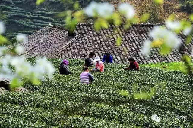 惊艳｜大美文县，快来一场说走就走的旅行吧~