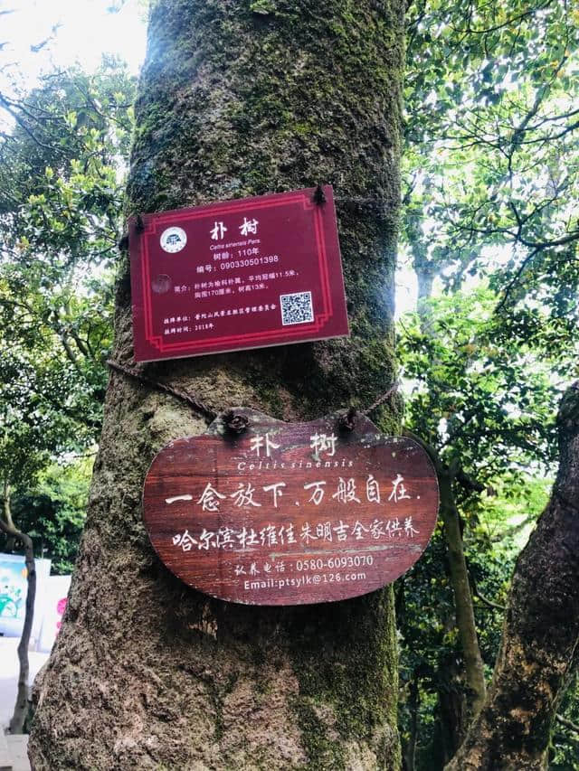 五一小长假，这是一份普陀山旅游小攻略