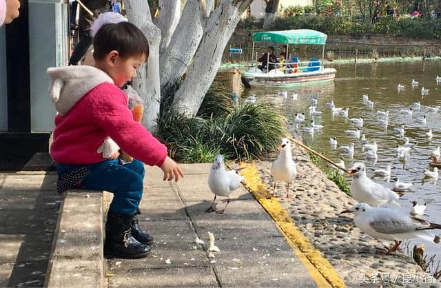 在昆明旅行，五华区这些地方值得一去