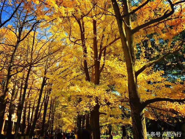 在昆明旅行，五华区这些地方值得一去