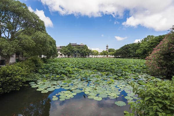 多部门联合打击不合理低价游 让普陀山旅游回归理性