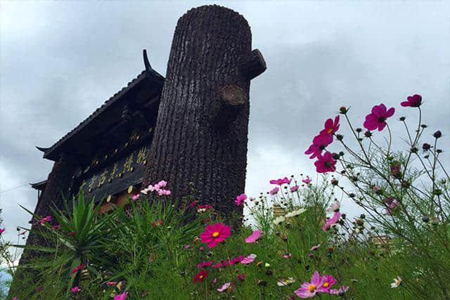 汶川·大寺村 | 都汶高速尽头的云溪桃源