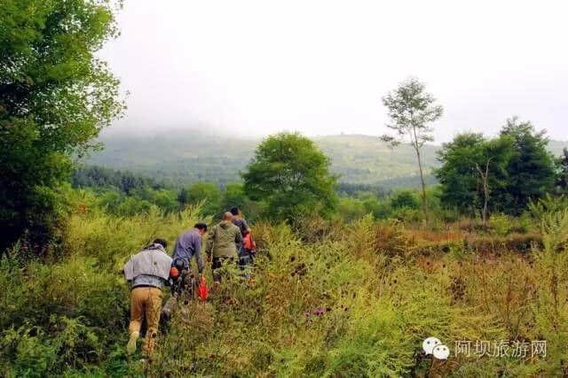 汶川·大寺村 | 都汶高速尽头的云溪桃源