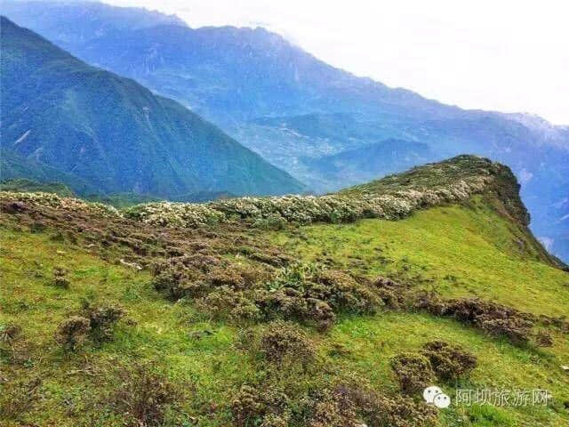 汶川·大寺村 | 都汶高速尽头的云溪桃源