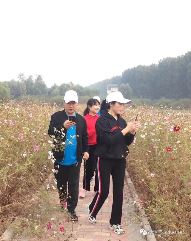 「旅游美文」微山｜邂逅，微山湖国家湿地的秋日温韵