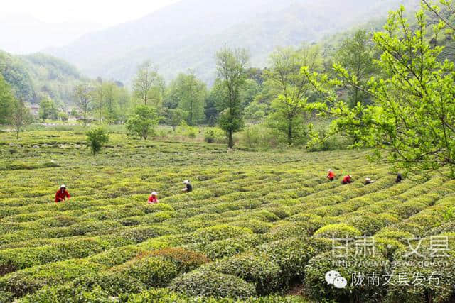 旅游“五一”出游那里去？茶乡李子坝欢迎您！