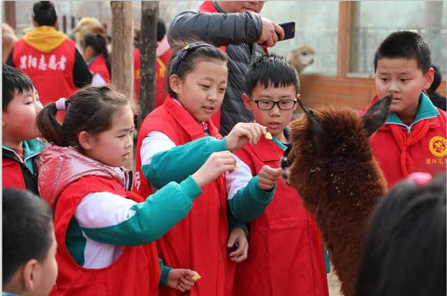 踏青2019带孩子去了濮阳旗舰景区濮阳东北庄野生动物园