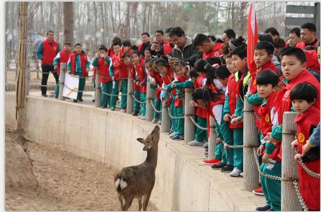 踏青2019带孩子去了濮阳旗舰景区濮阳东北庄野生动物园