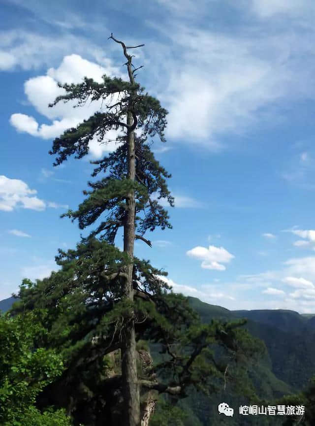 崆峒山，你是我此生都不愿错过的风景