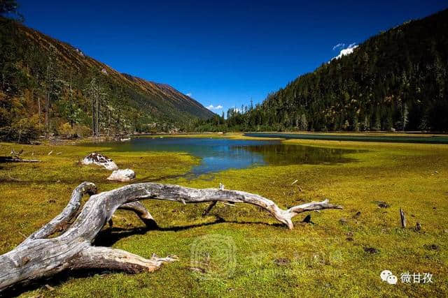 康定旅游|自在由心，山水有情！