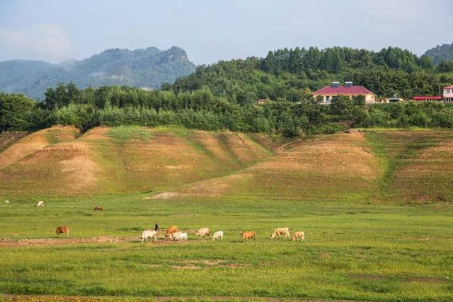 最美的归途是家乡 辽宁“小桂林” 宽甸绿江村